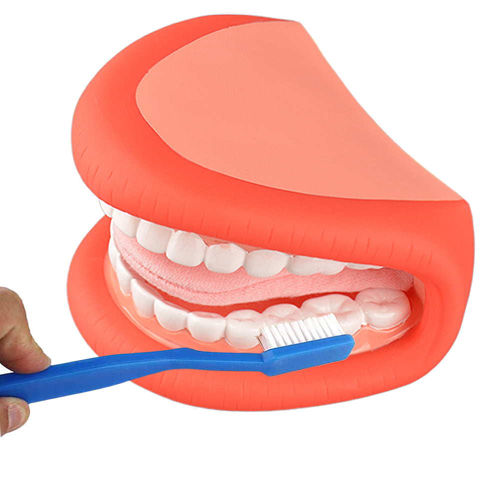 Demonstration Of Brushing And Oral Care Using Puppet