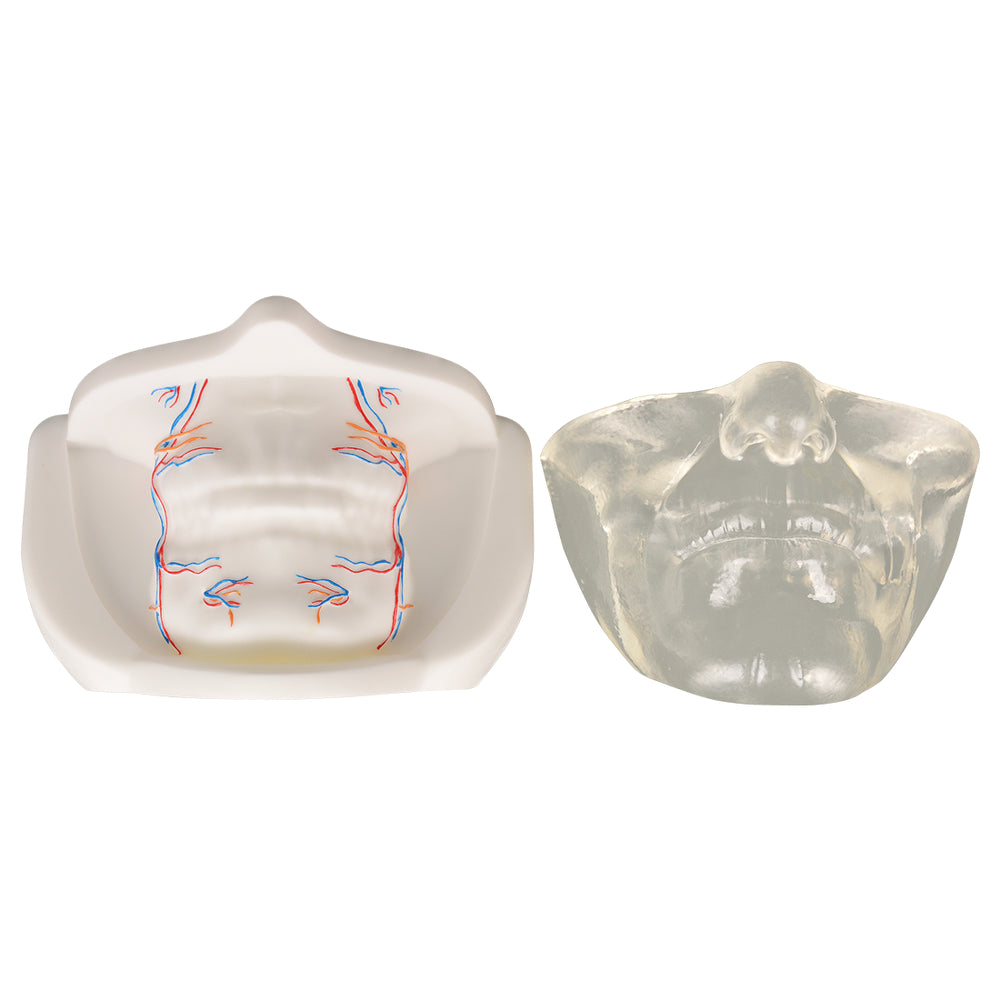 Detachable Skin Layer For Repeated Practice