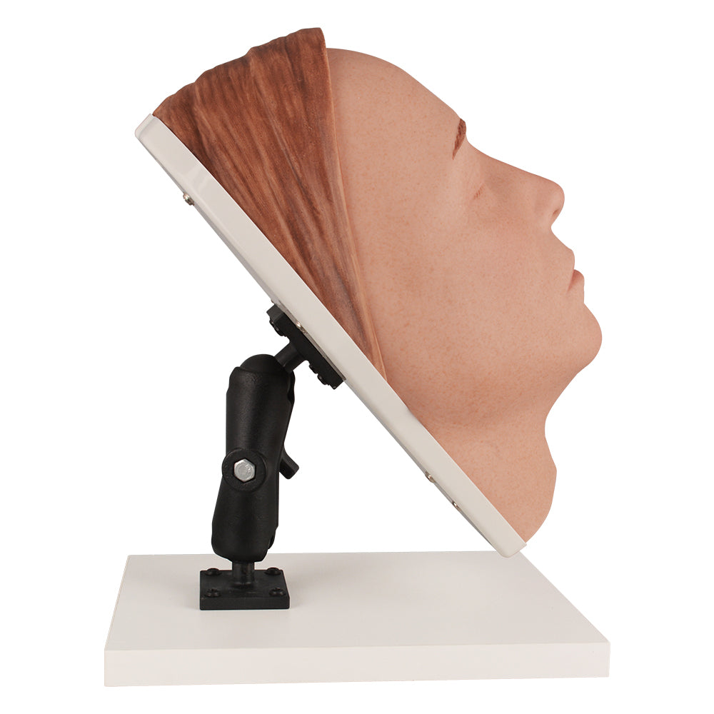 Detailed Facial Features Injection Trainer