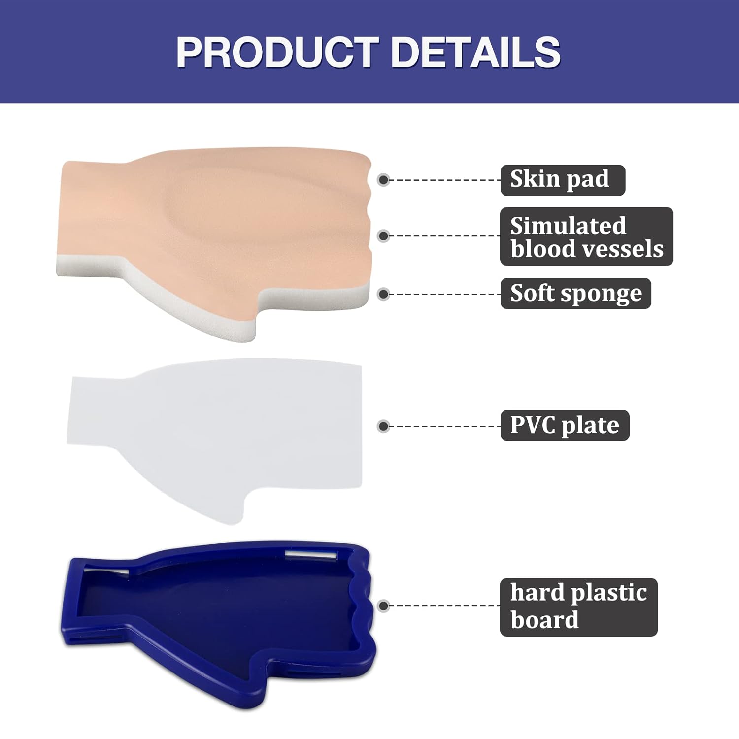 Detailed Layer Composition of Dorsal Hand IV Insertion Model