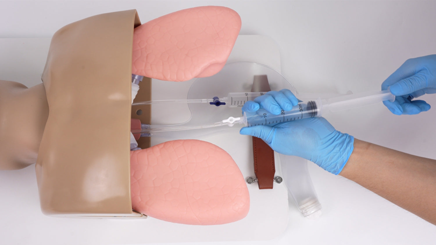 Difficult Airway Management Manikin