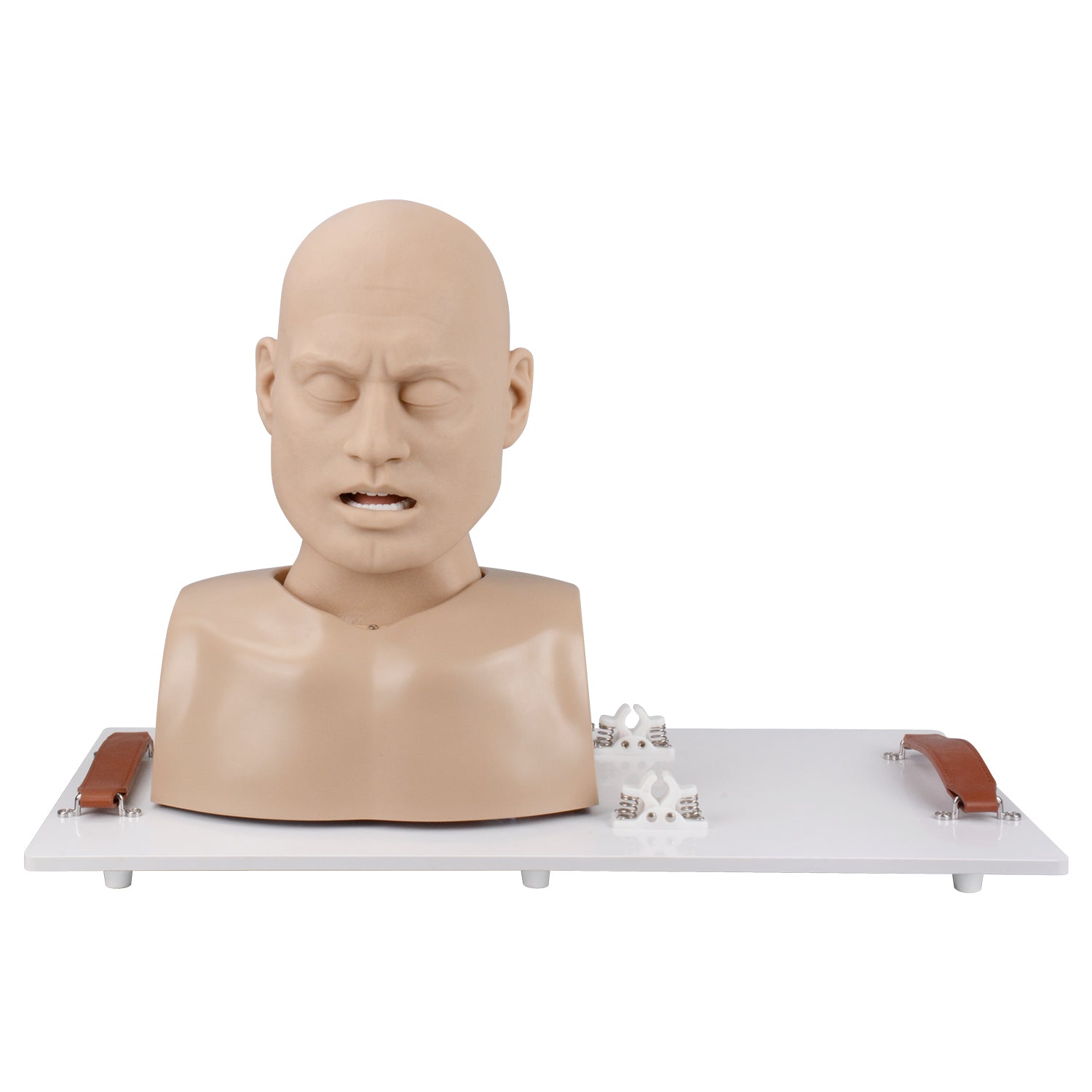 Difficult Airway Management Manikin With Adjustable C L Grades