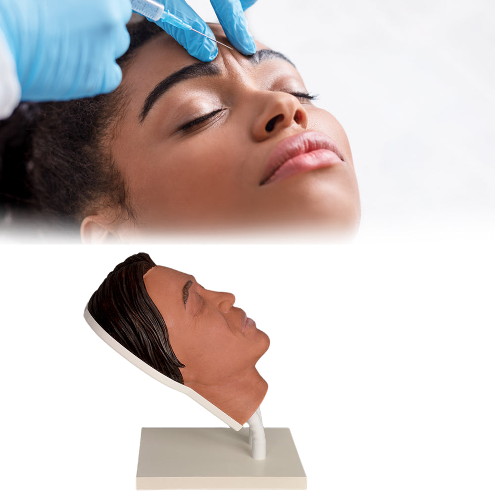 Dual-Tube Stand Cosmetic Head for Filler Training