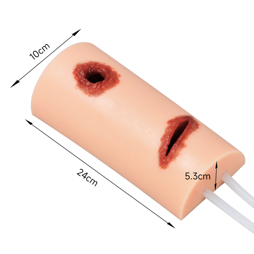 Dual Wound Trainer With Dimensions