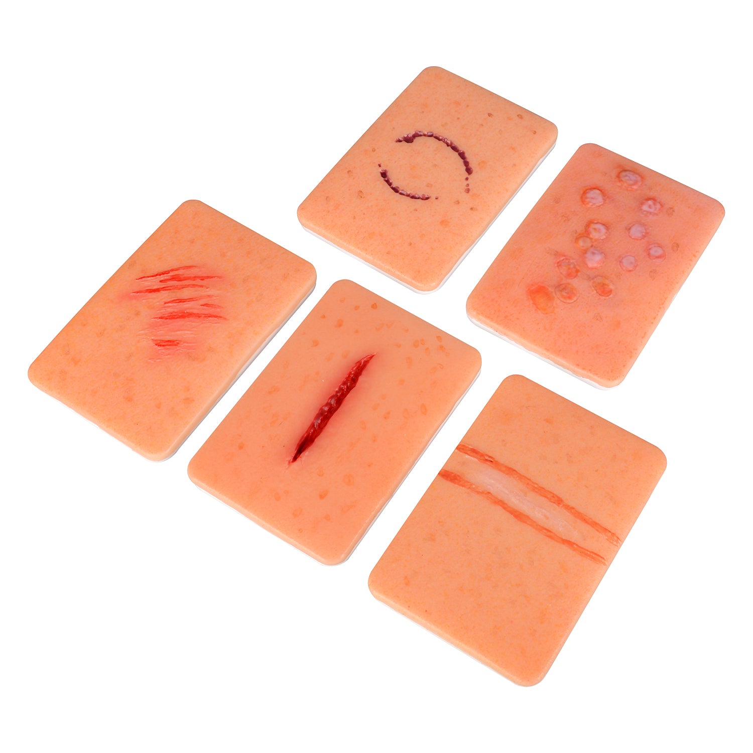 Elder Abuse Injury Demonstration Model Kit(Set of 10)