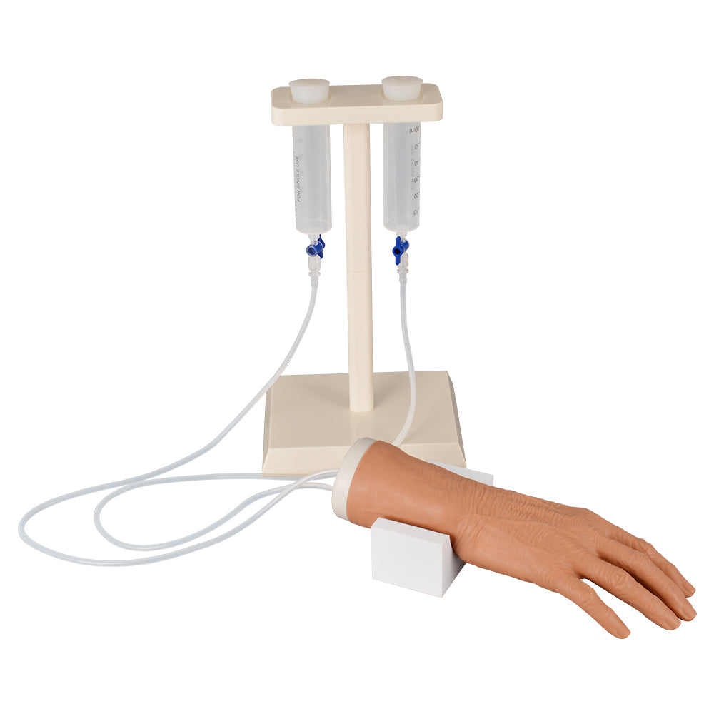 Elderly IV And Venipuncture Practice Hand Model In Classroom Use
