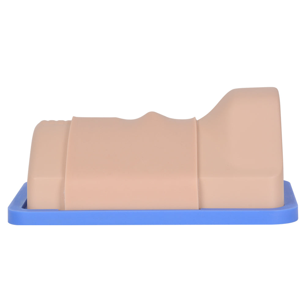 Emergency Airway Management Training Simulation Model