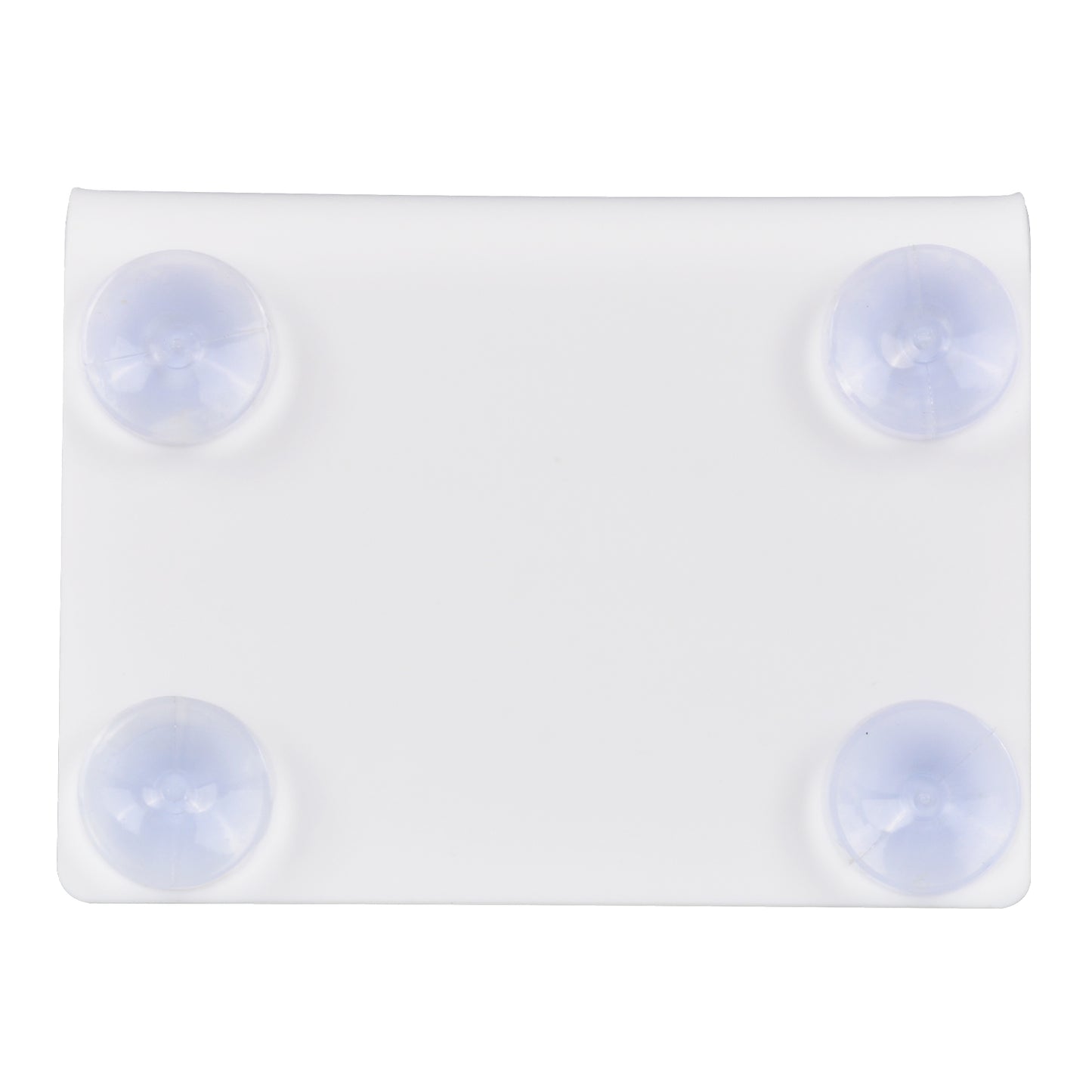 Episiotomy Model with Stable Desktop Stand and Non-Slip Suction Cups