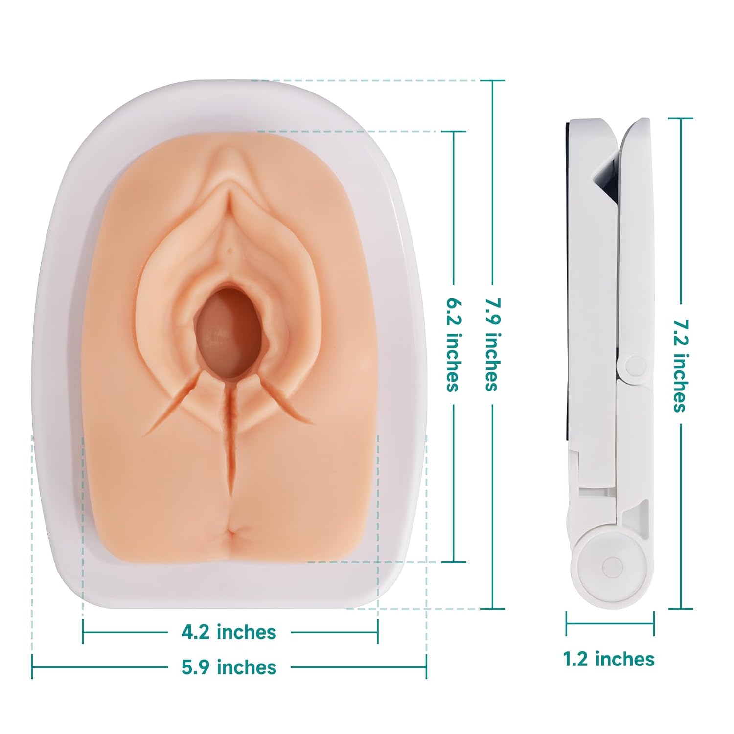 Episiotomy Repair Suturing Model With Size Information