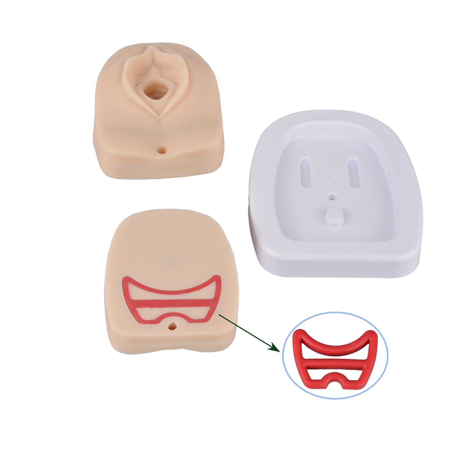 Episiotomy and Perineal Laceration Suturing Trainer Detail