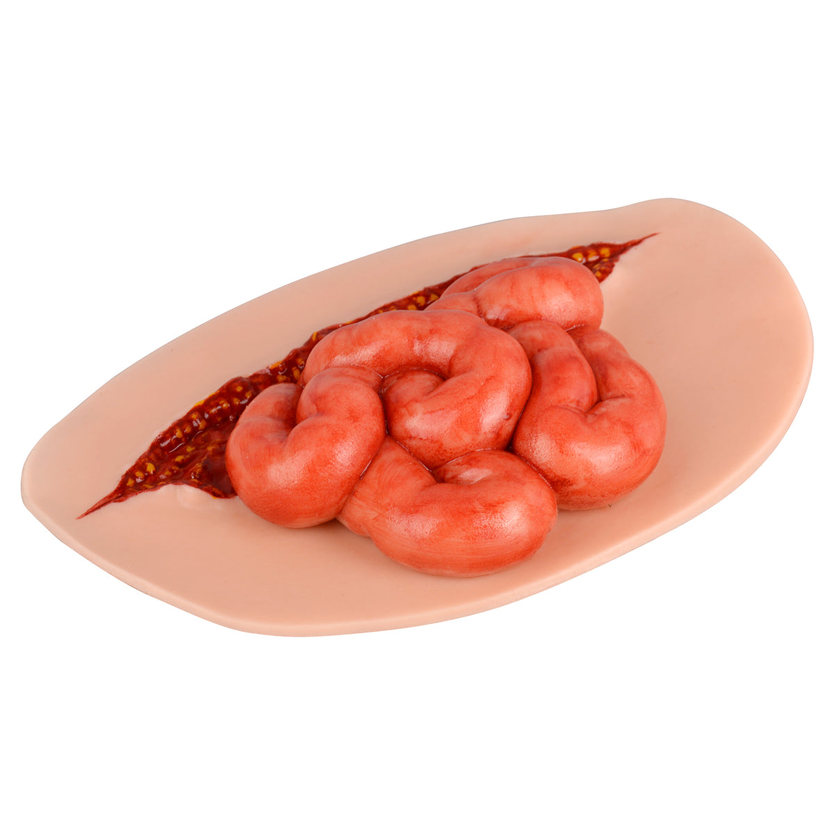 Exposed Bowel Abdominal Evisceration Wound Trainer