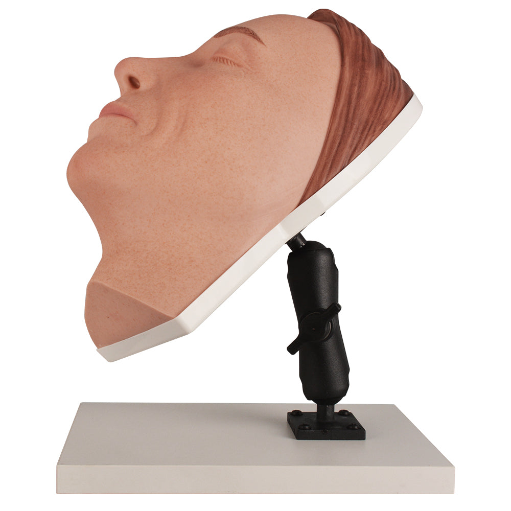 Facial Filler Practice Model