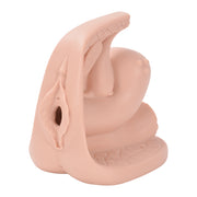 Female Contraceptive Model Education Training Kit