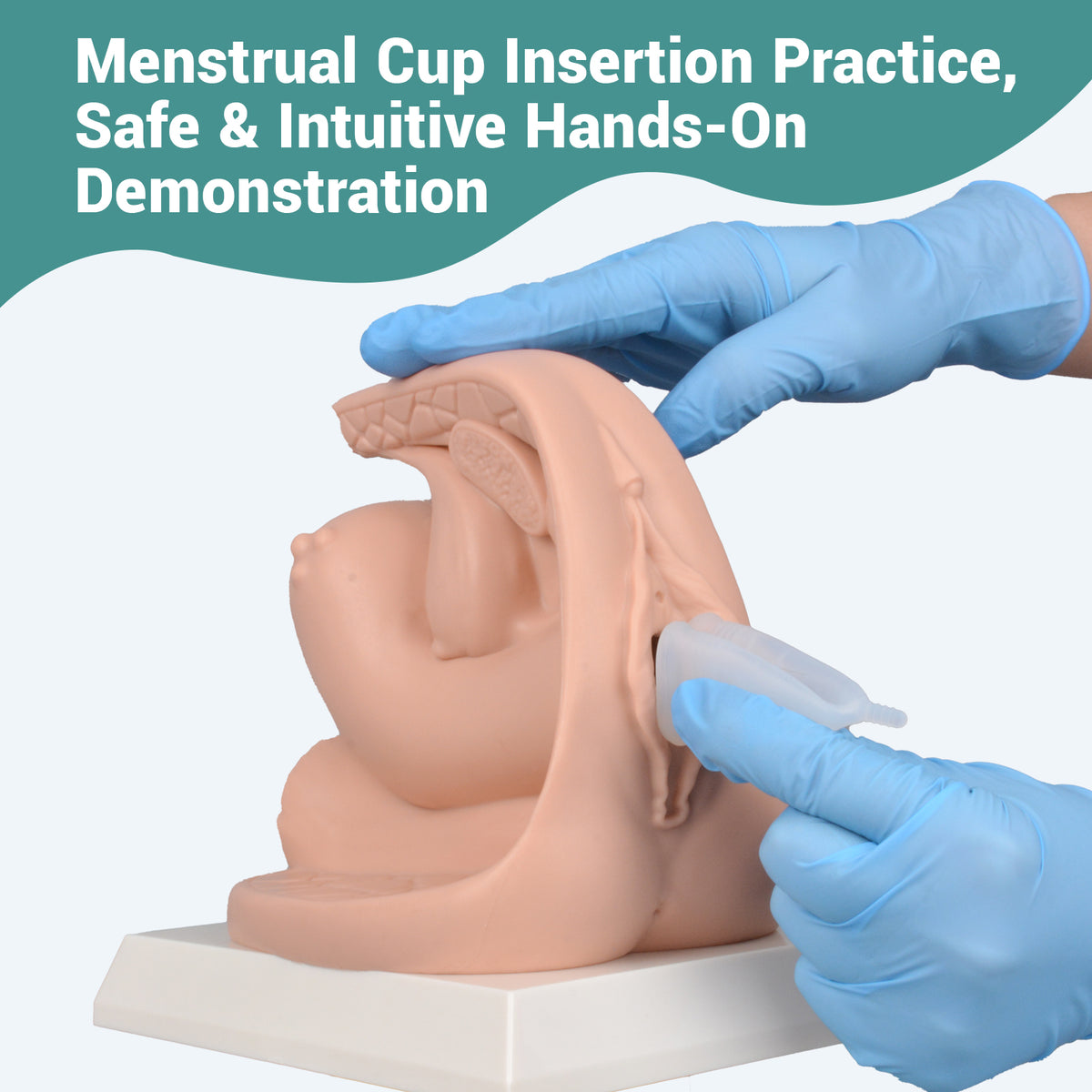 Female Contraceptive Training Model