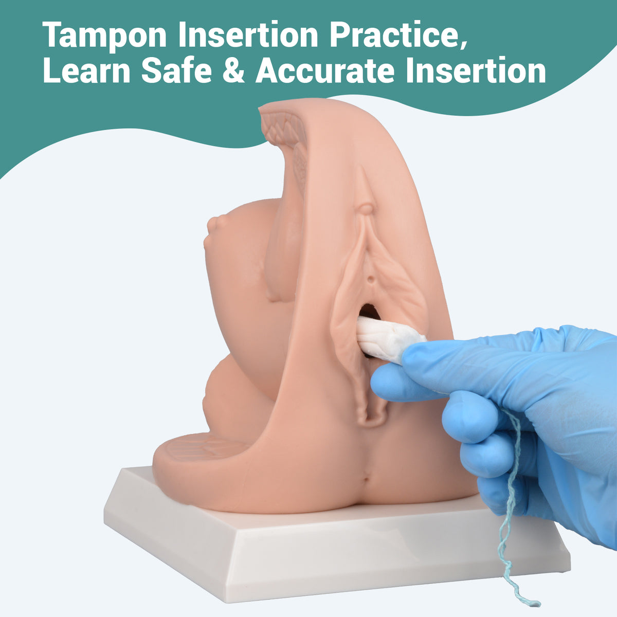 Female Contraceptive Training Model