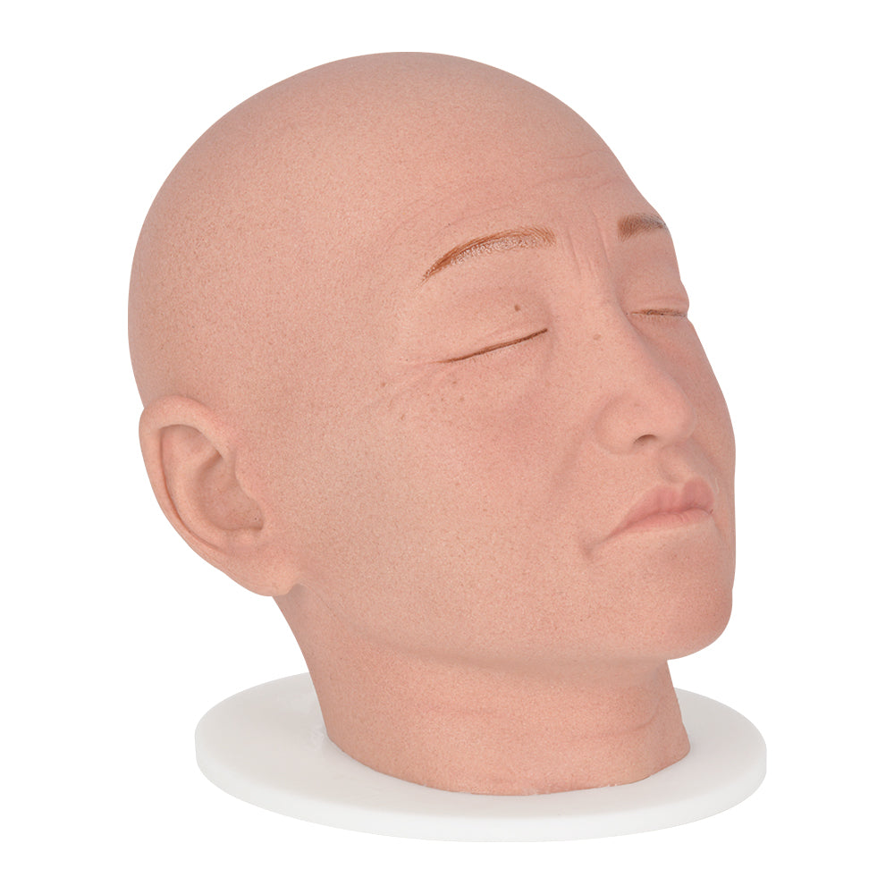 Female Facial Features Training Model for Aesthetic Teaching Tool