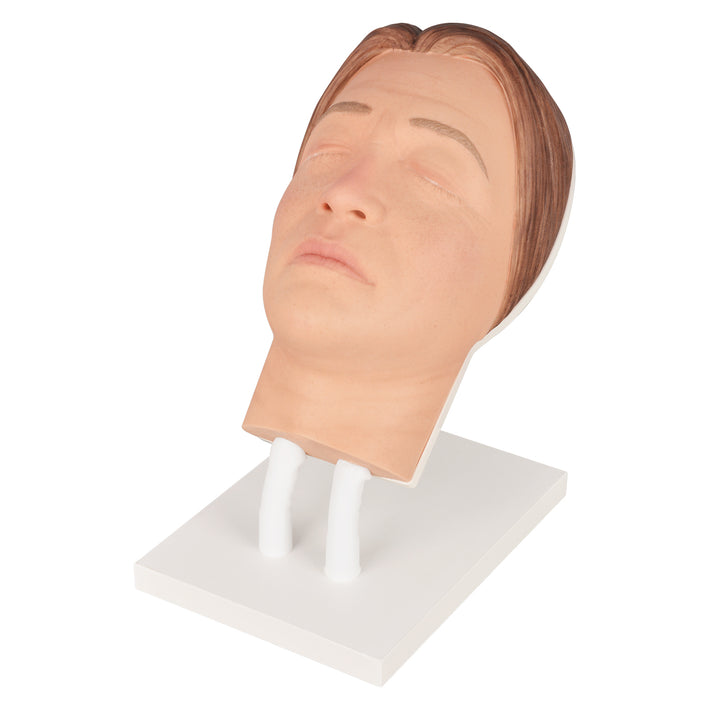 Facial Injection Mannequins for Aesthetic Training – Medarchitect
