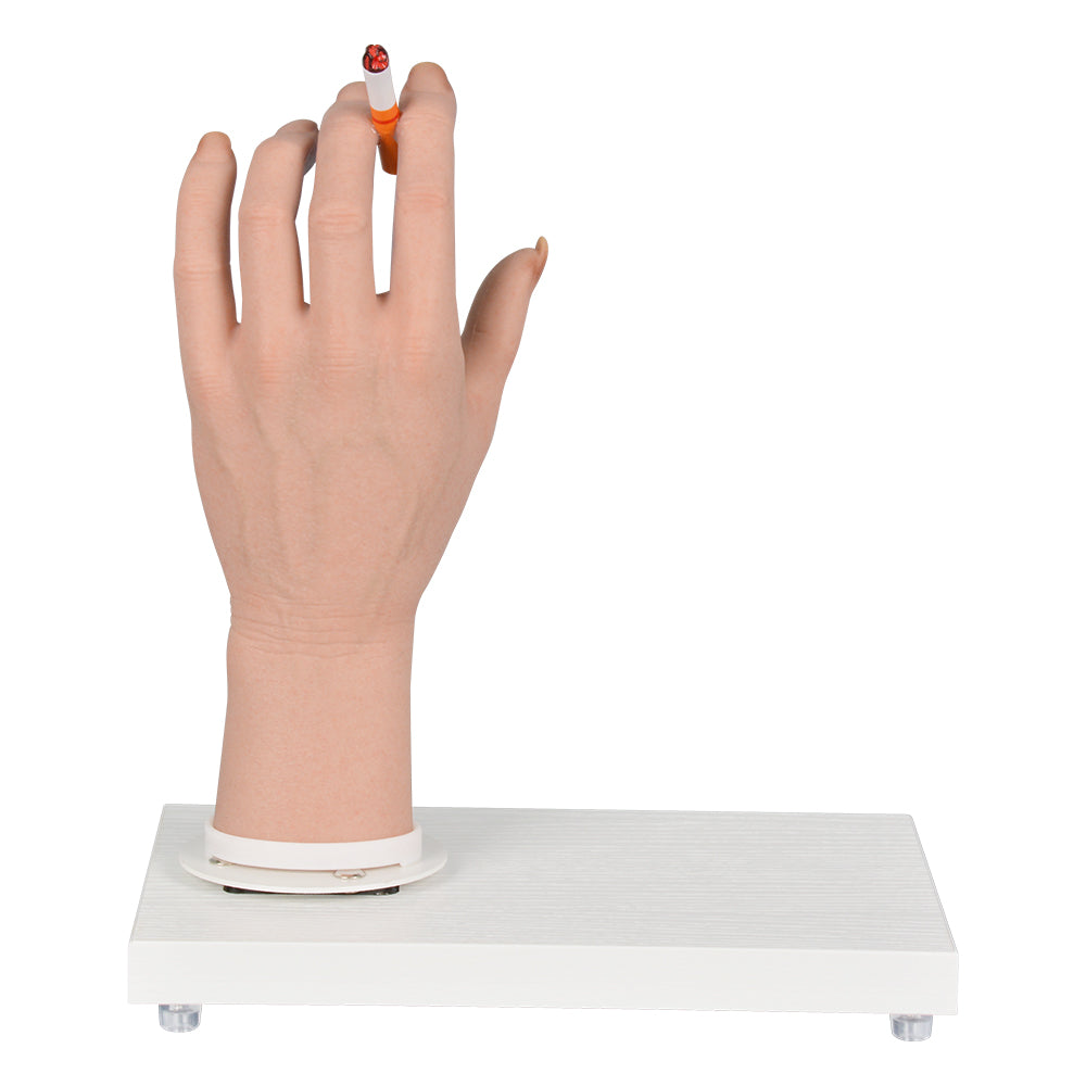Female Smoking Effects Hand Model