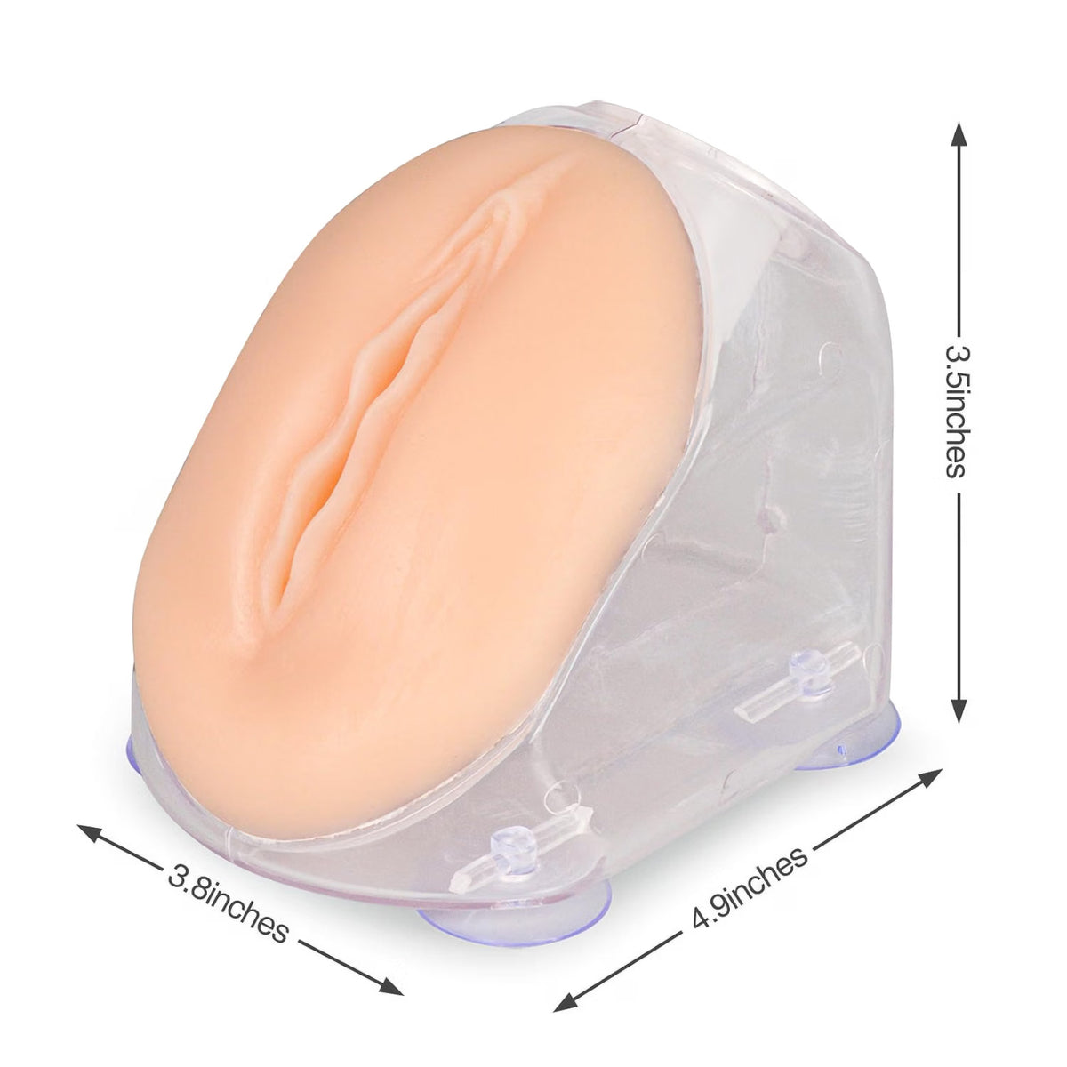 Female Urinary Catheterization Training Model Kit