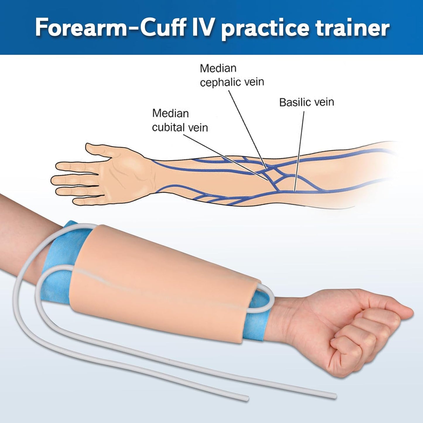 Forearm IV Trainer with Realistic Vein