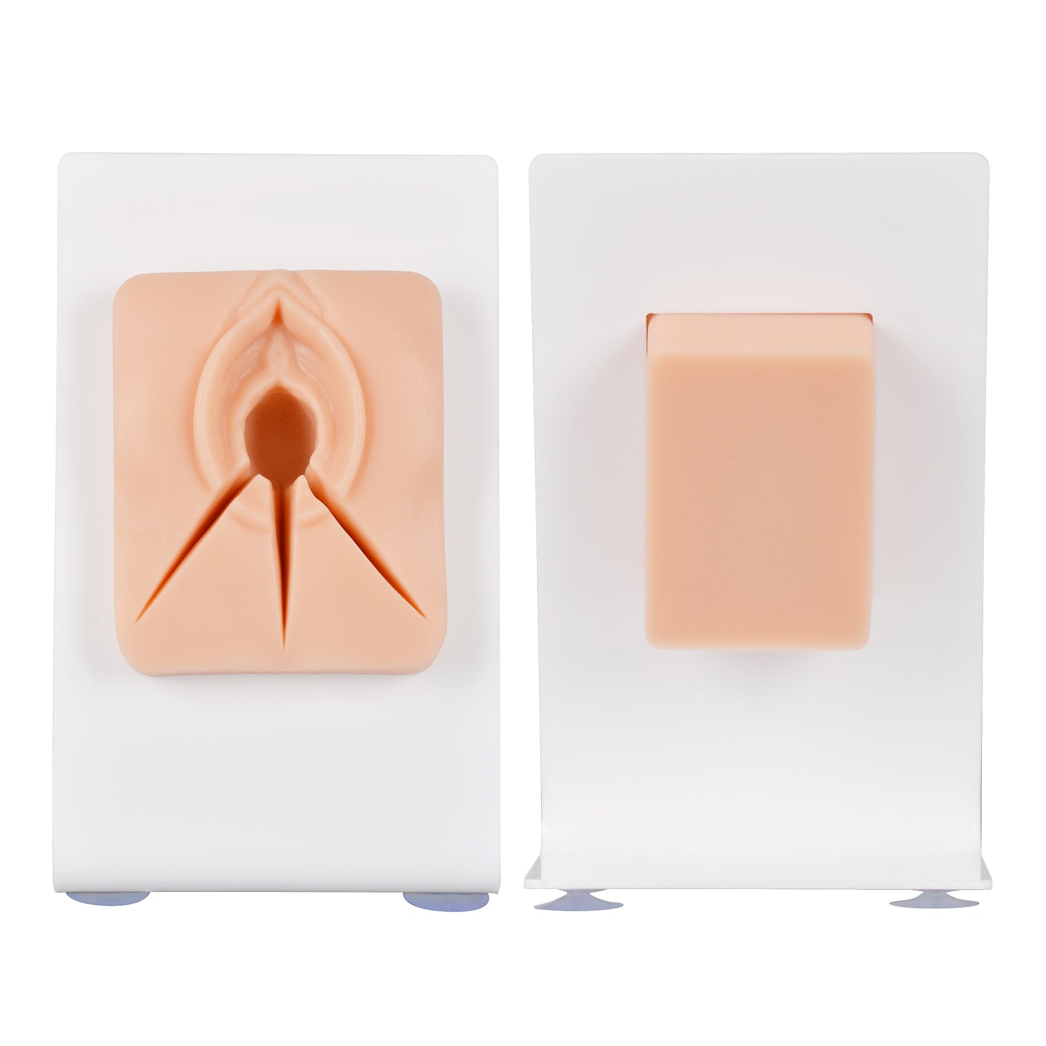 Front and Back View of Perineal Repair Suture Practice Model