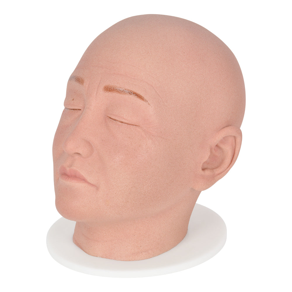 Full-Head Cosmetic Injection Demonstration Model for Education