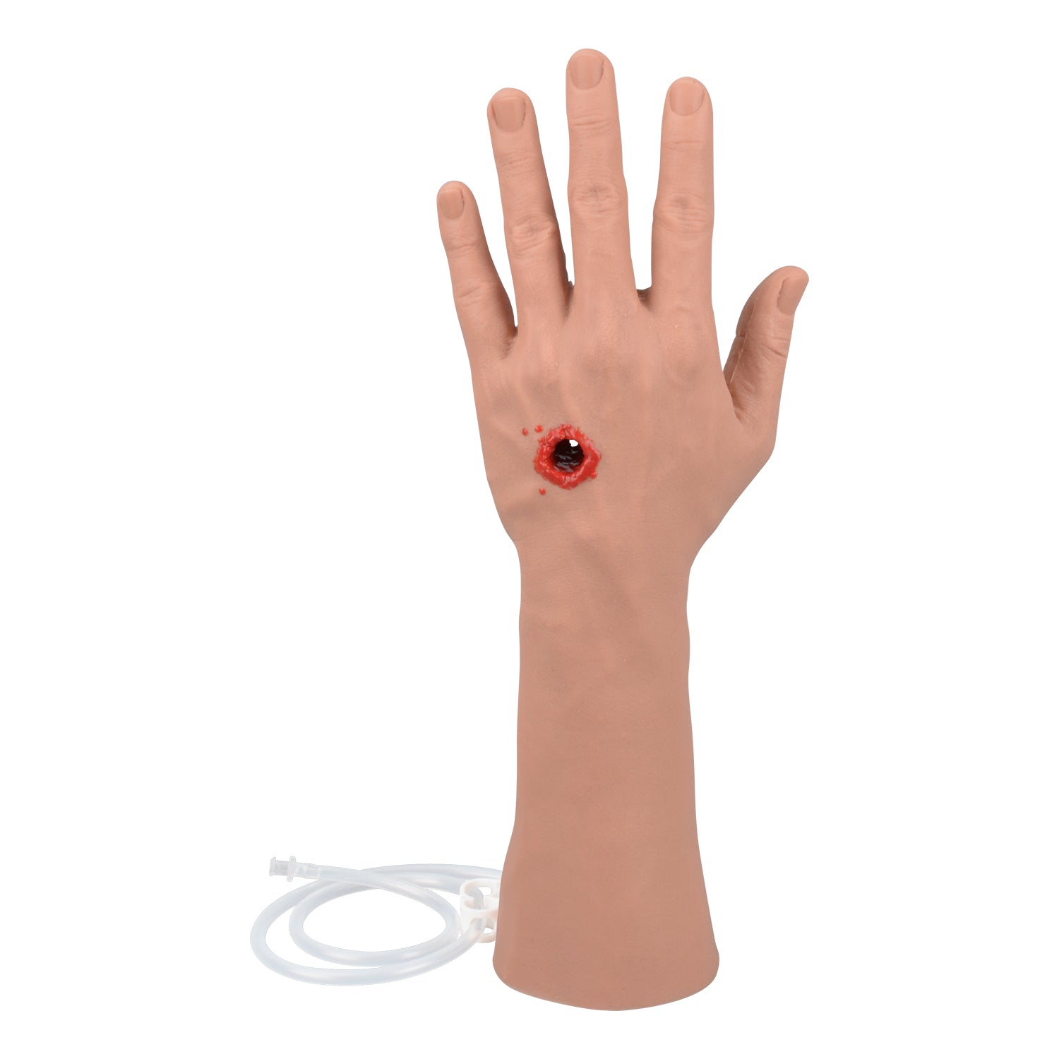 GSW Hand Model Back View Realistic Anatomical Structure