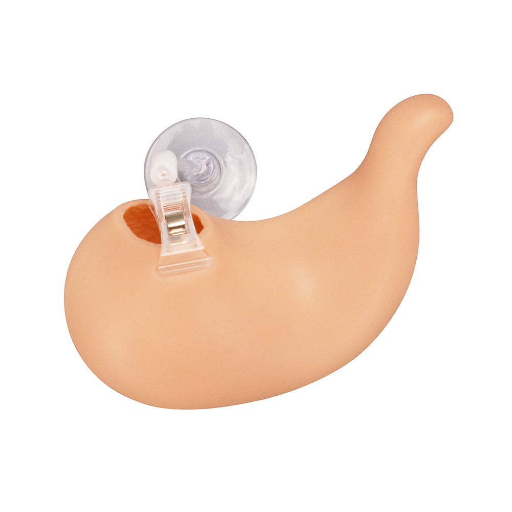 Gastric Suturing Trainer