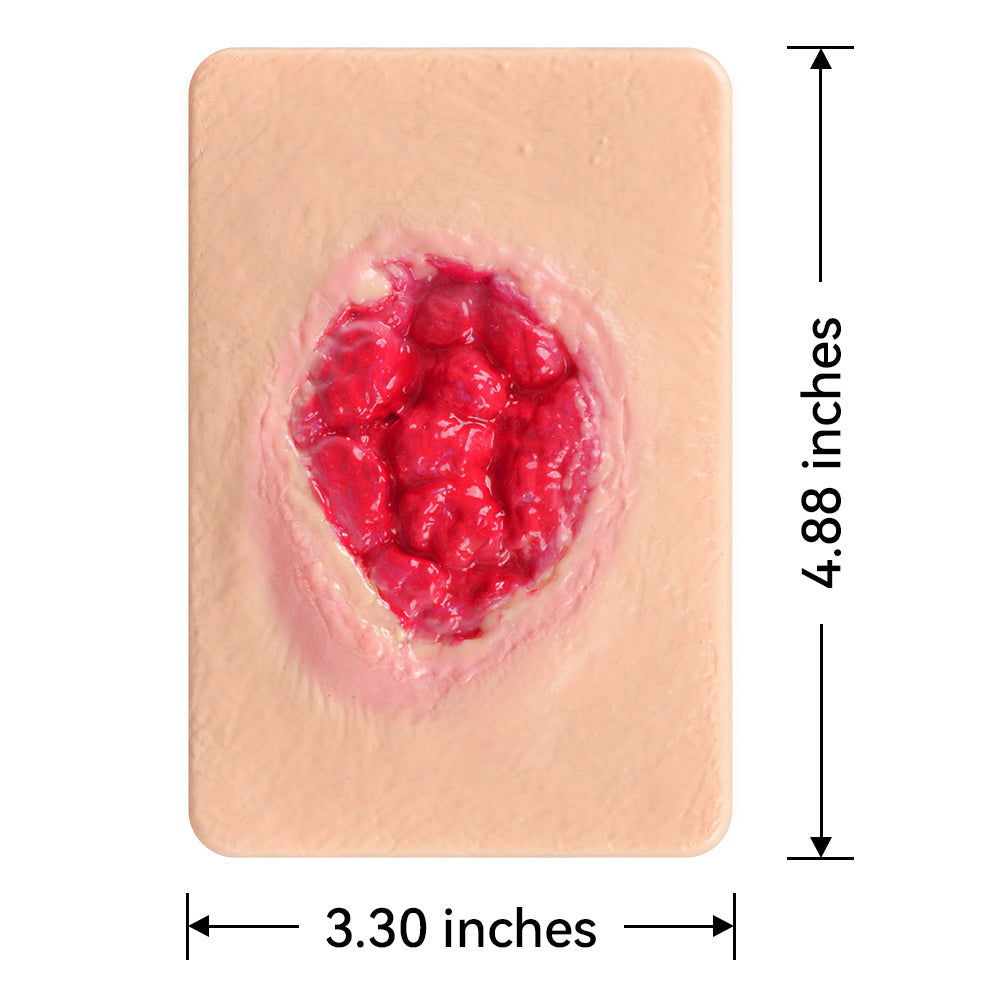 Granulation Tissue Wound Care Training Model Size