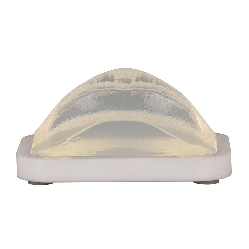 Hand-Held Lip Injection Practice Model