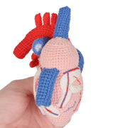 Handmade Crochet Anatomical Heart Model
