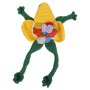 Handmade Crochet Dissection Frog