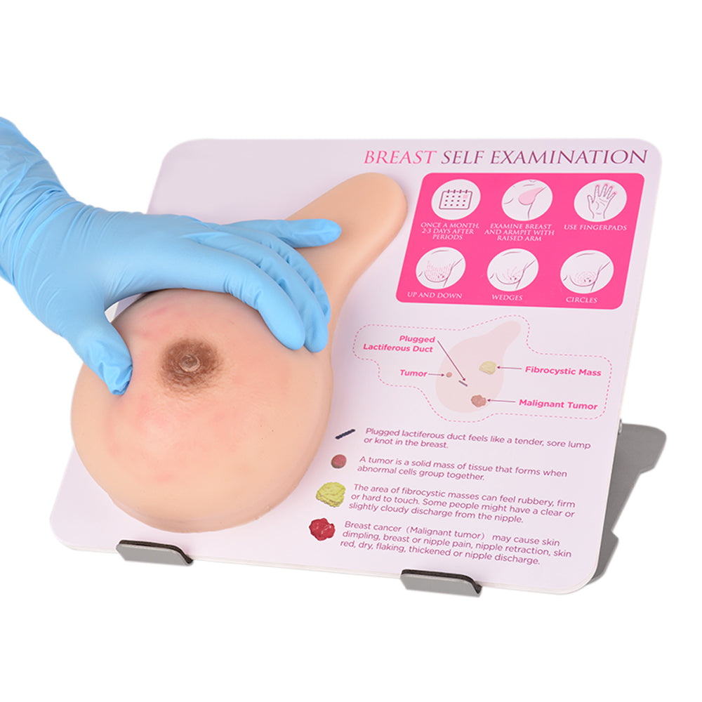 Hands-On Breast Health Training Using BSE Model