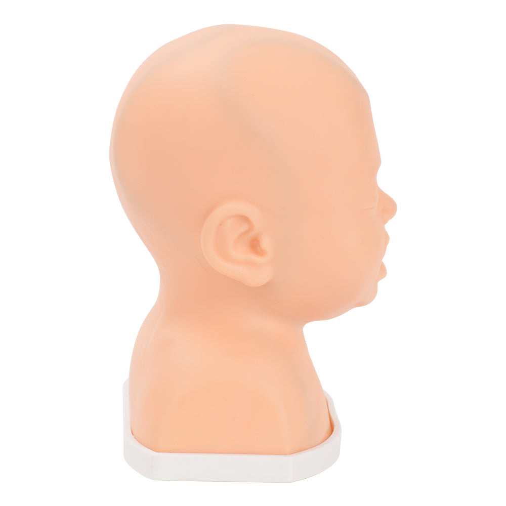 Hands-On Scalp Venipuncture Training For Medical Students