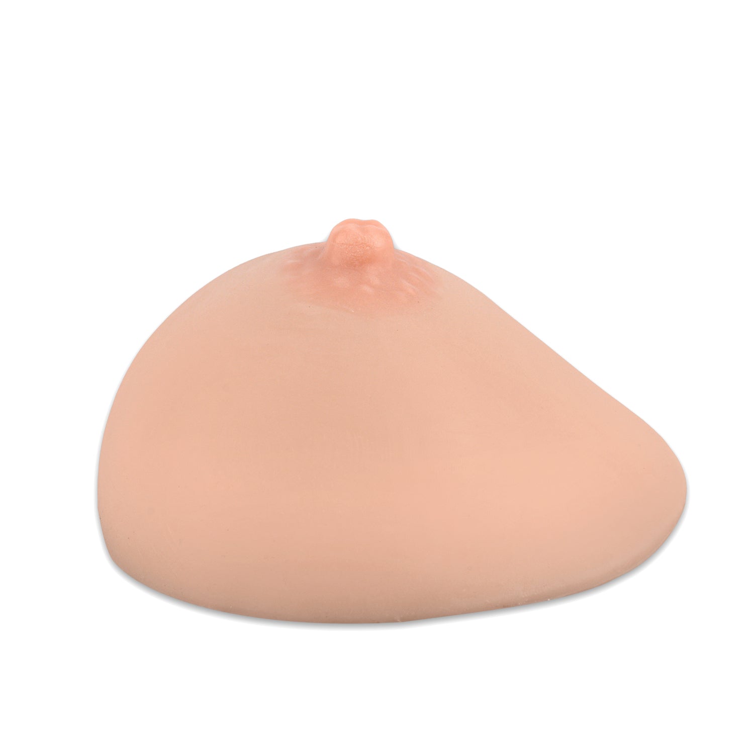 Hemispherical Breastfeeding Training Model