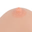 High-Fidelity Silicone Breast Model With Realistic Areola