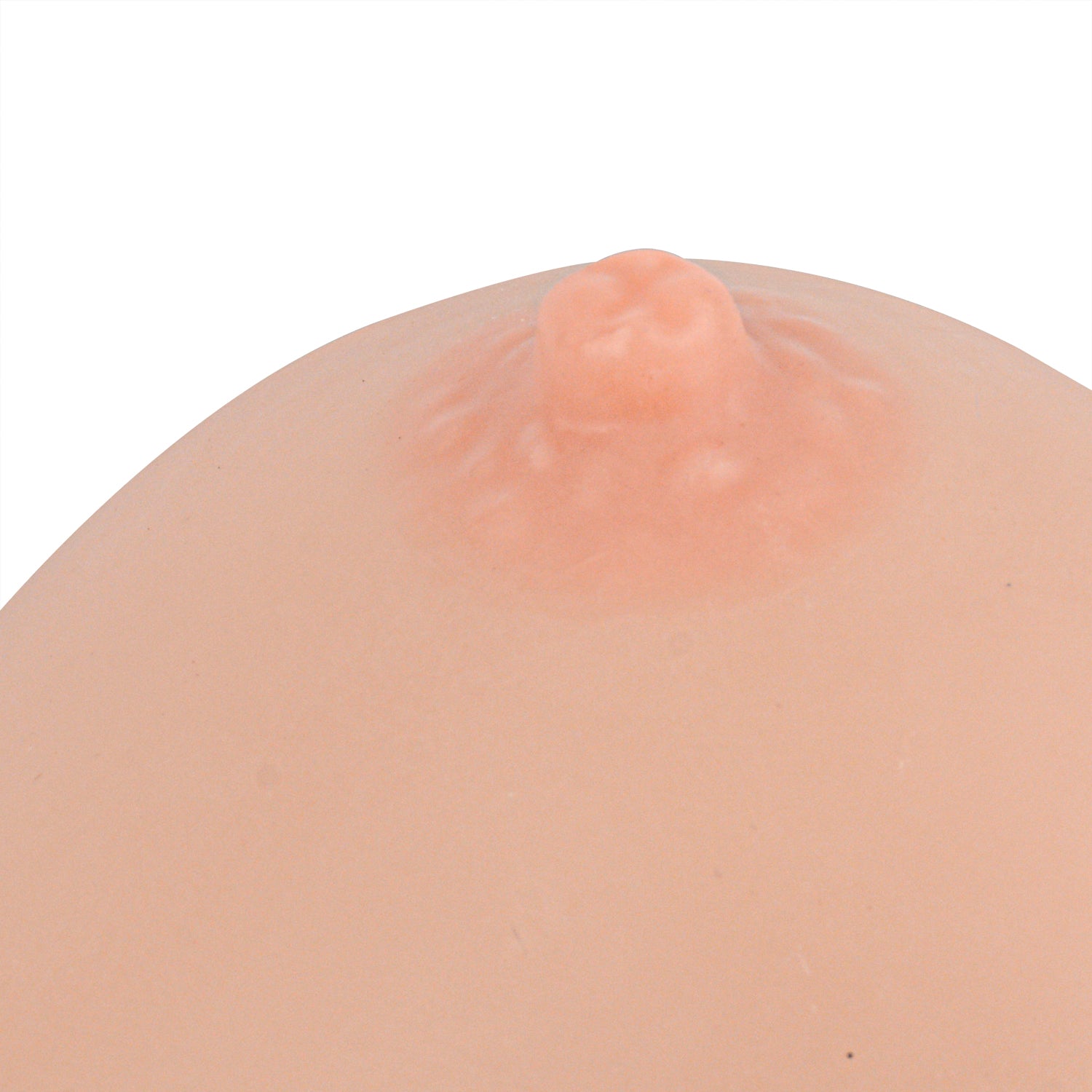 High-Fidelity Silicone Breast Model With Realistic Areola