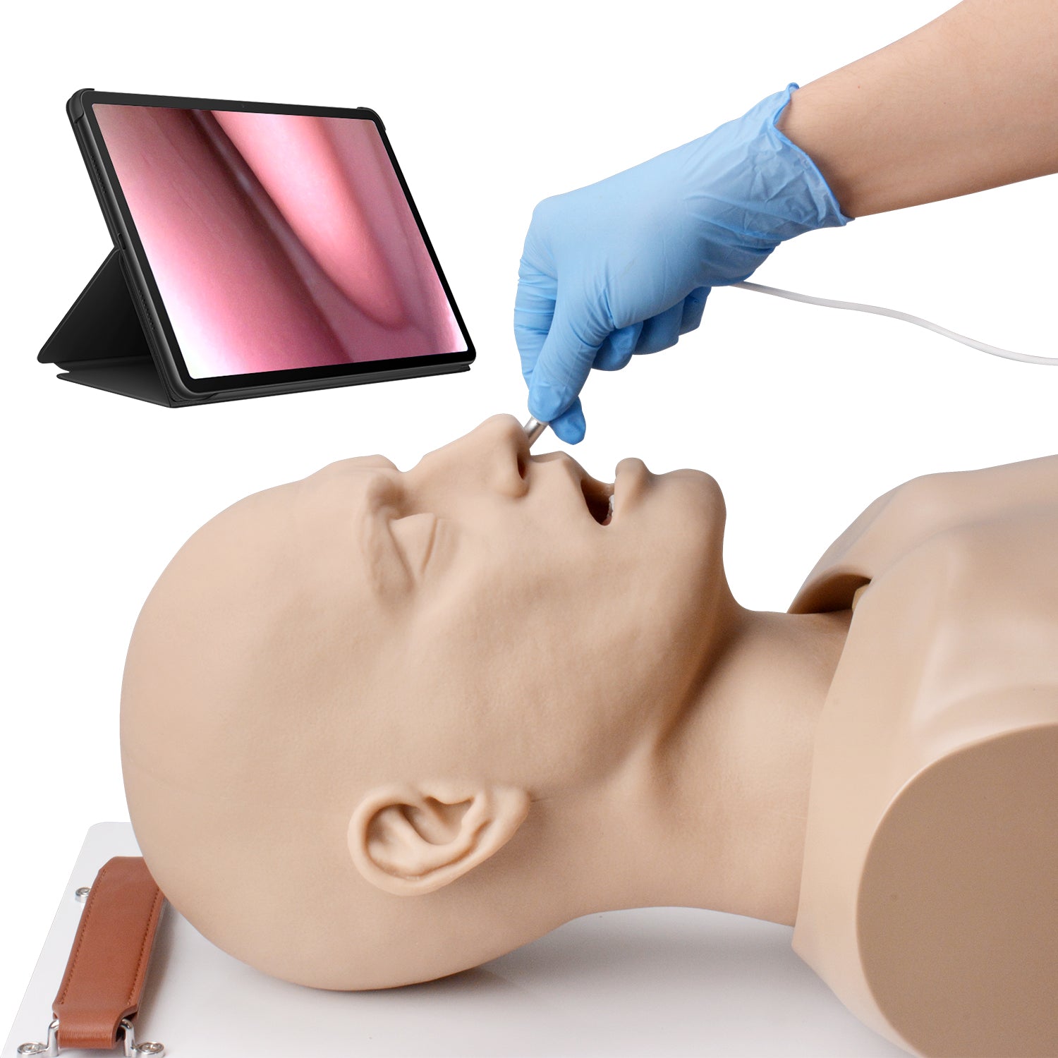 High Fidelity Nasal Anatomy In Airway Training Manikin