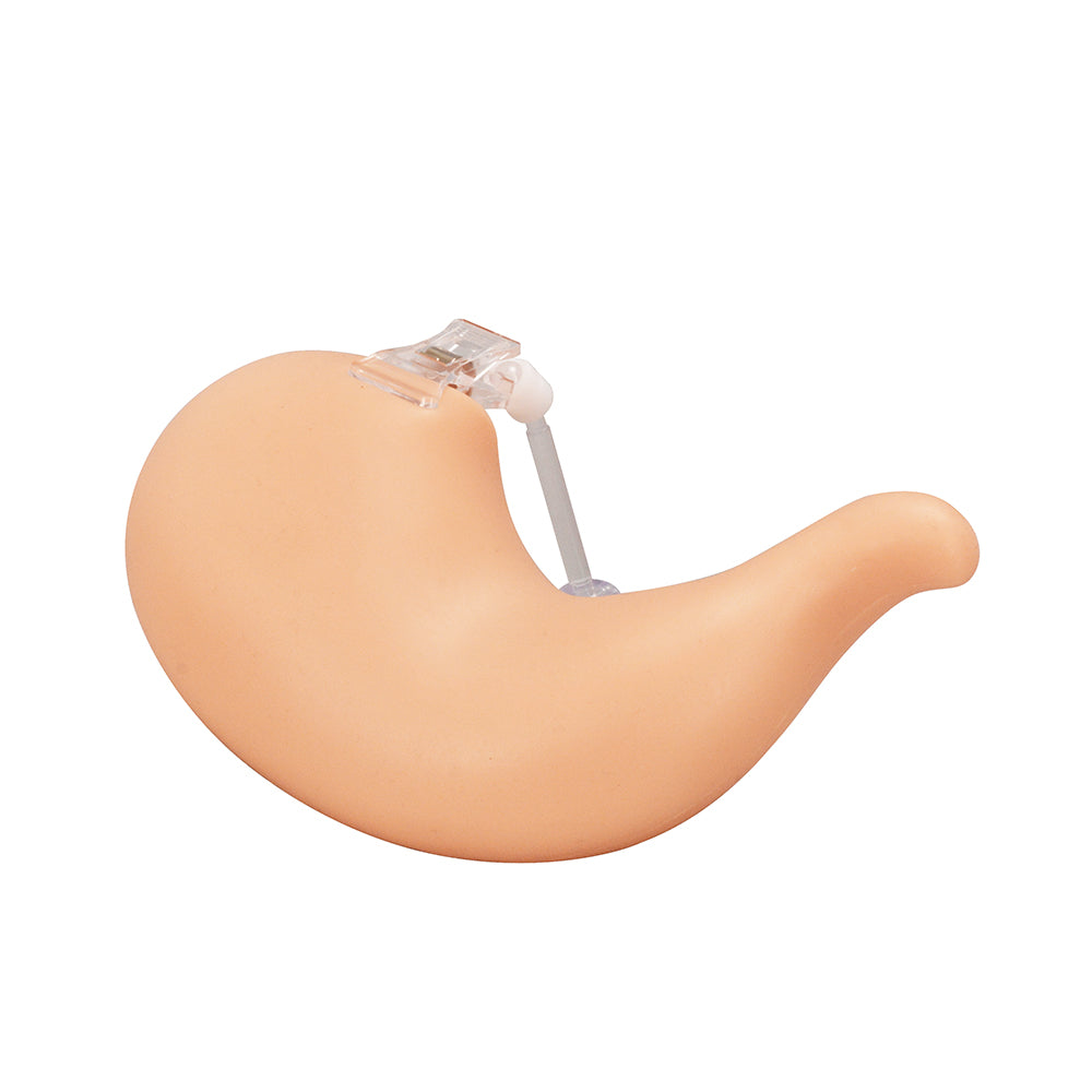 Hollow Stomach Suture Model for Gastric Suturing Practice