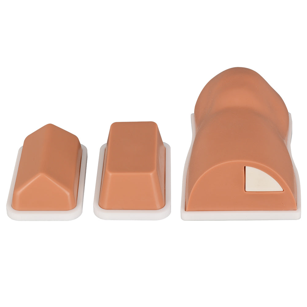 IO Cannulation Trainer Series