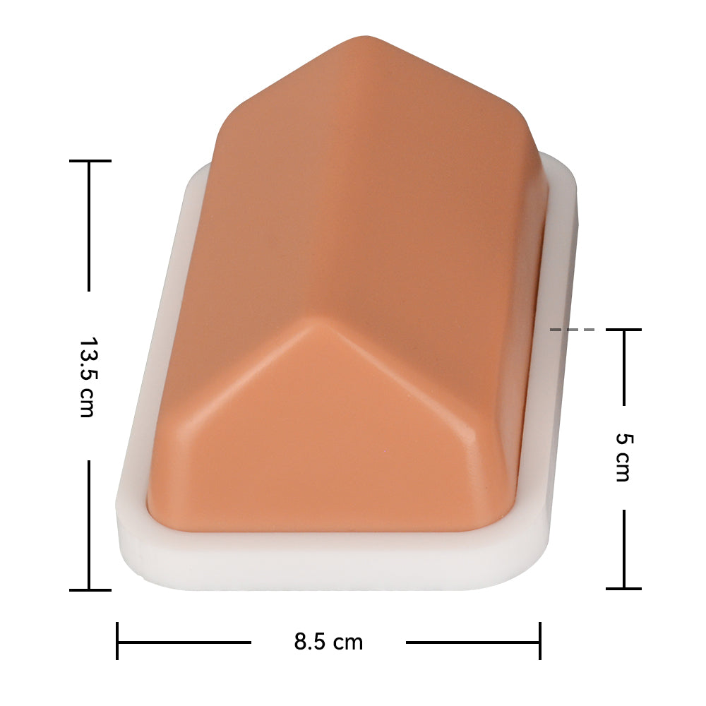 IO Cannulation Trainer Size