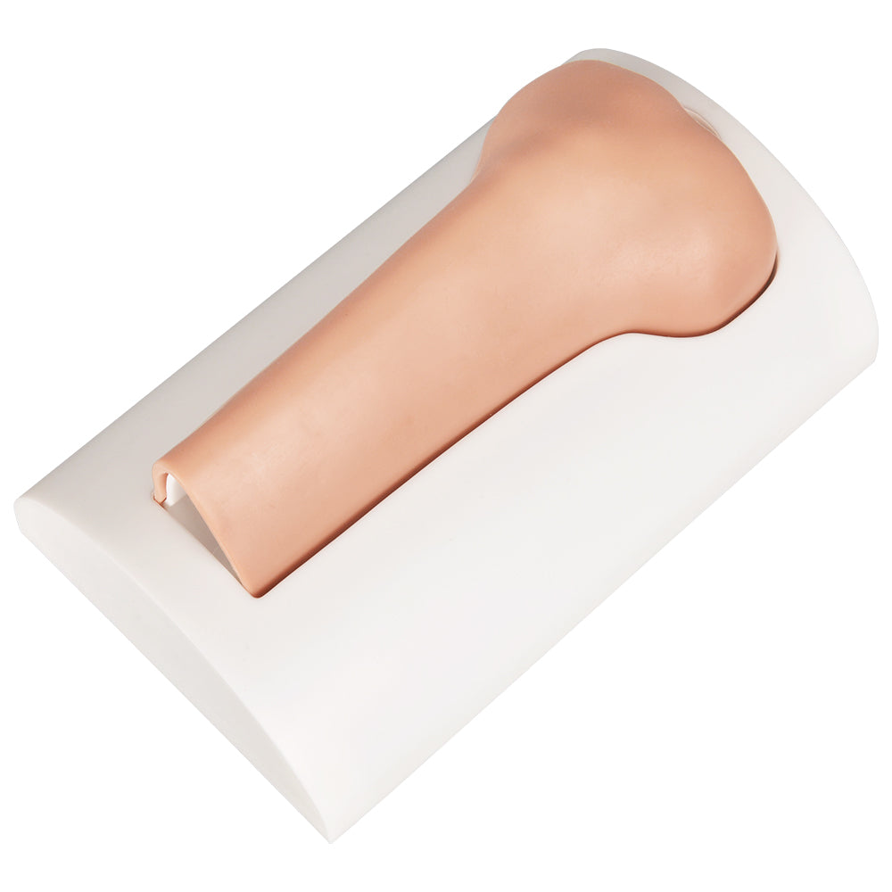 IO Training Bones For Medical Students