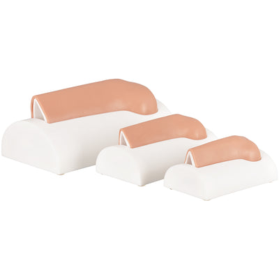 IO Training Bones In 3 Size Set