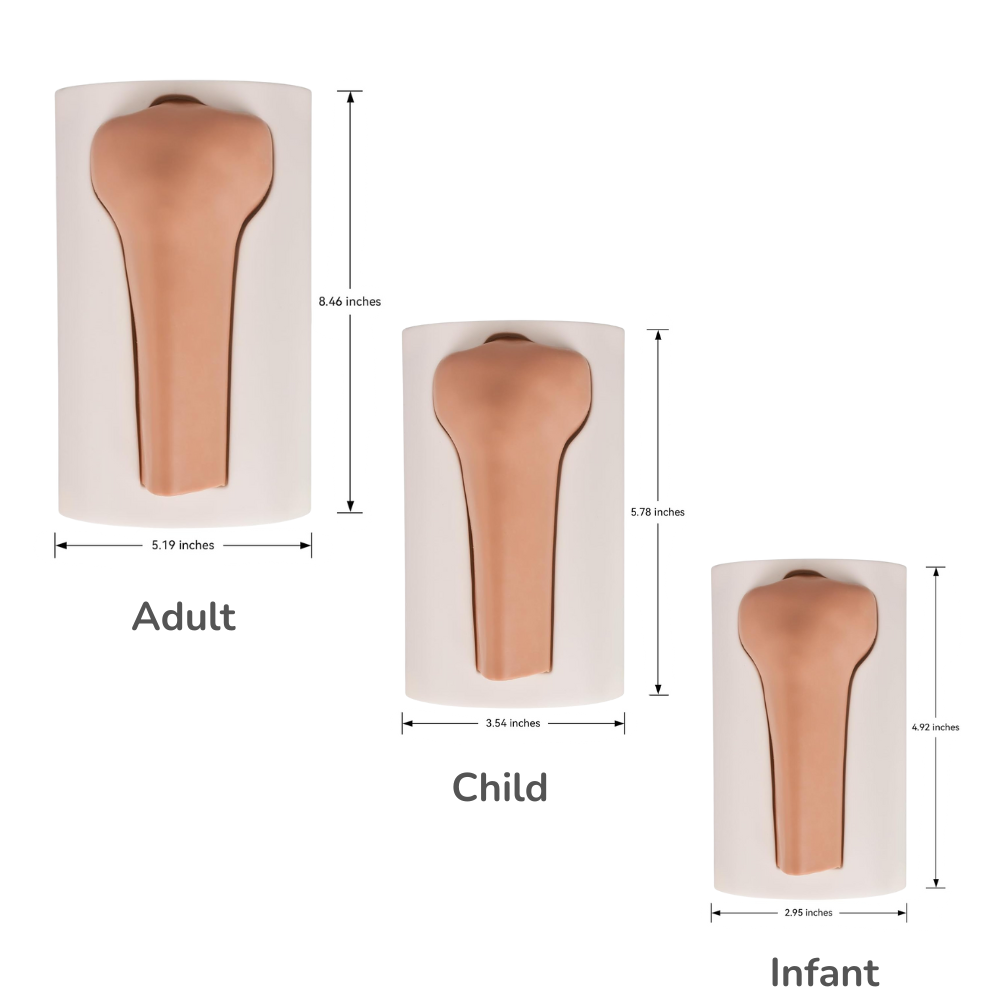 IO Training Bones Size Display