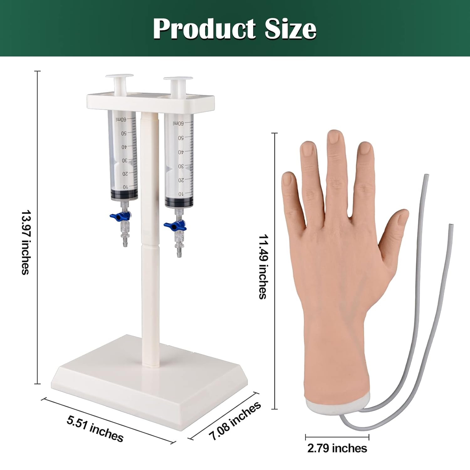 IV Hand Model with Fluid Flow Stand Showing Dimensions