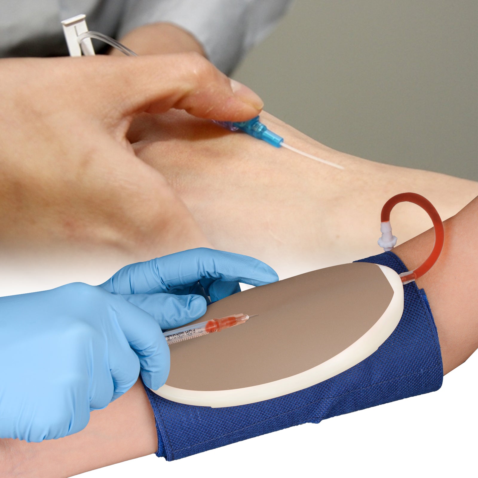 IV Injection Training Model For Clinical Skills Practice