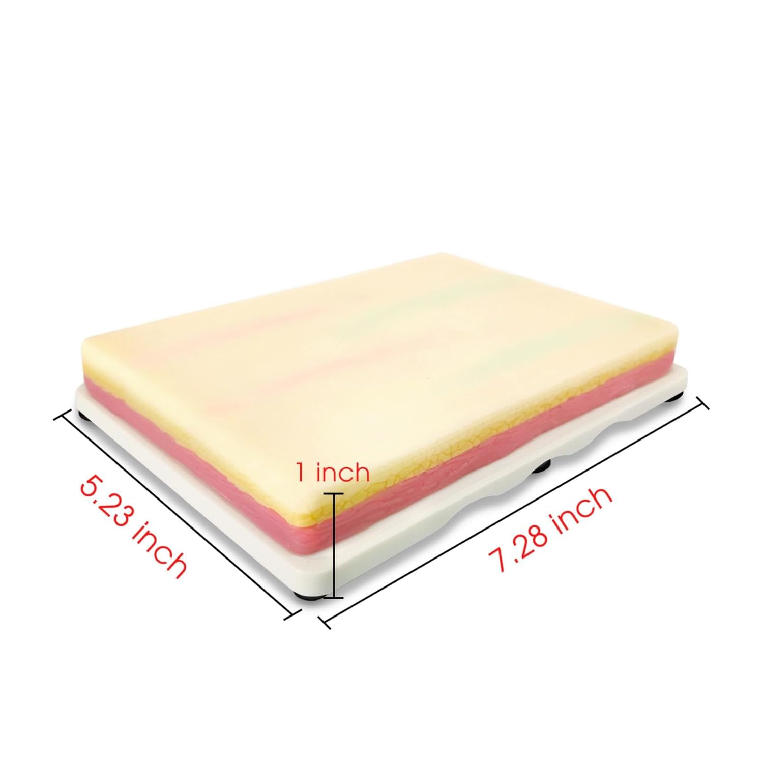IV Insertion & Cannulation Practice Pad Size Reference