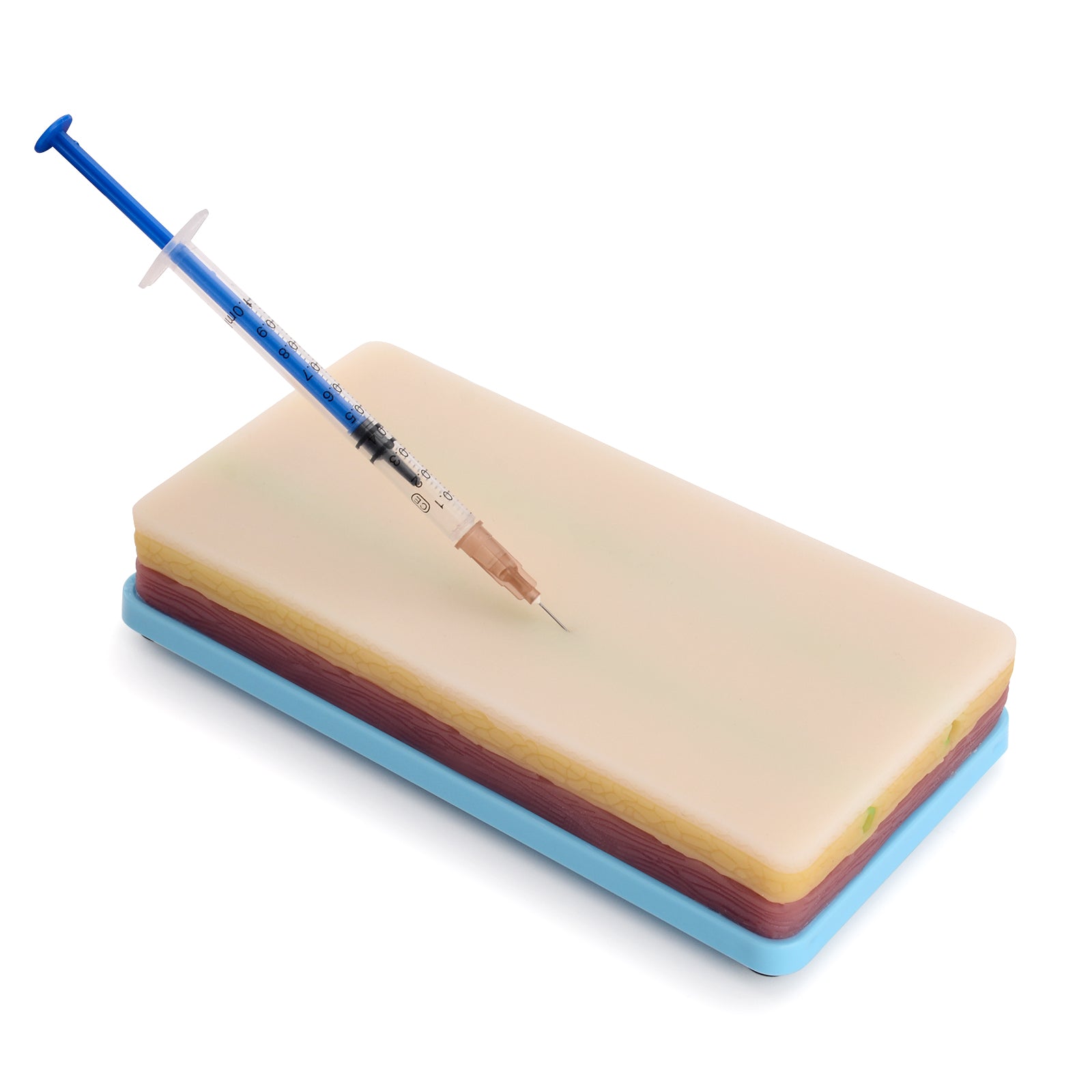 IV Venipuncture Injection Practice Pad With Simulated Veins