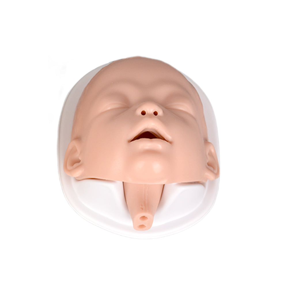 Infant Airway Training Head Simulator