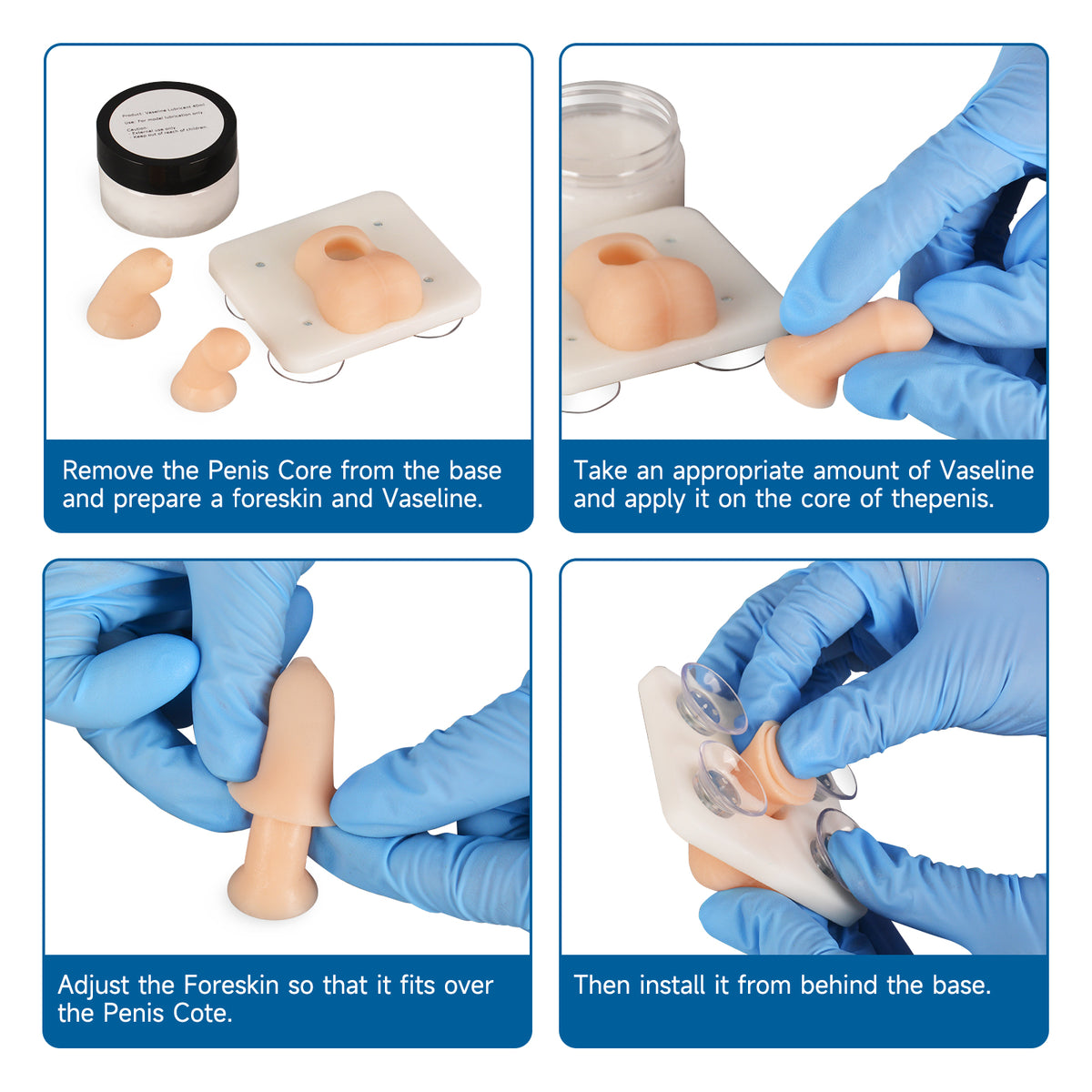 Infant Circumcision Trainer with Replaceable Foreskin